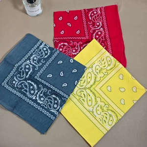 Vintage Paisley Print Bandana Set Hip-Hop Polyester Square Scarf Headband For Women Men Street Style Hair Accessory