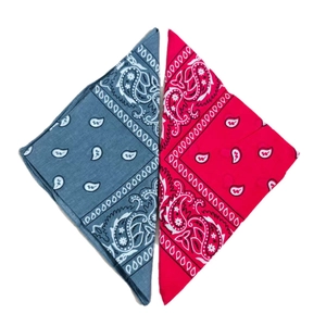 Ethnic paisley pattern bandana set in gray-blue and bright red cotton blend fabric