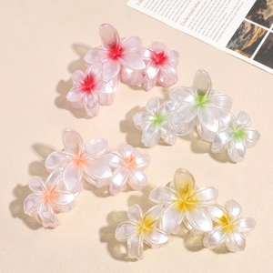 Lot de grandes pinces à cheveux en résine mate avec fleurs roses et blanches élégantes