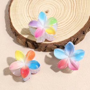 Süßes Set aus Acryl-Blumen-Haarklammern mit farbenfrohen, halbtransparenten Harzblüten
