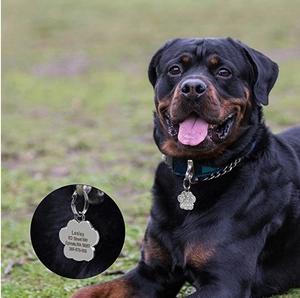 Dettaglio di una medaglietta a forma di zampa con brillantini su collare per cani