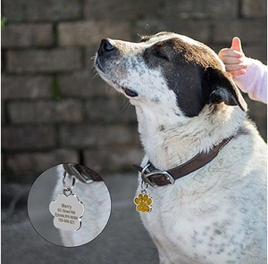 Dettaglio macro della medaglietta per animali a zampa glitterata con incisione personalizzata