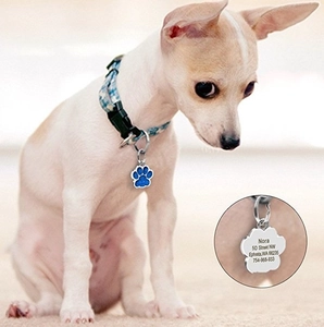 Dettaglio dell'incisione personalizzata sul retro della medaglietta per cani a forma di zampa