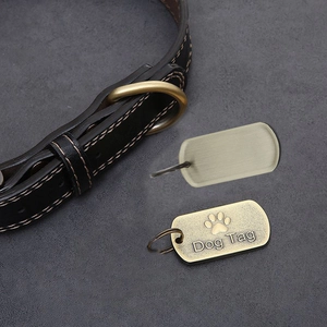 Vintage bronze dog tags with paw print pendant on a black leather pet collar