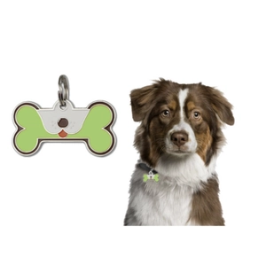 Bone-shaped zinc alloy pet ID tag in green and white worn by a Border Collie dog