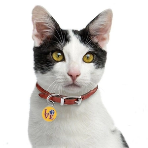 Collare in pelle rossa con medaglietta ID Love in lega di zinco per cani e gatti