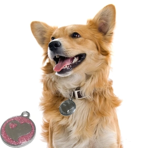 Medaglietta identificativa glitterata per cani con cuore su collare per Corgi