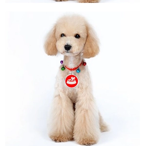Close-up of a red pet collar with small colorful bells and an engraved bone tag for dogs