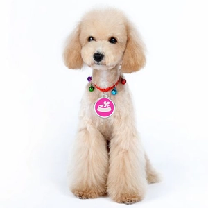 Pink dog tag necklace with bell and woven rope on a brown poodle for small pets
