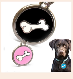 Close-up of circular pet ID tags with bone patterns and Labrador dog wearing one