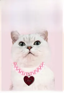Detail of a pink pearl pet necklace with a red heart pendant engraved with Love