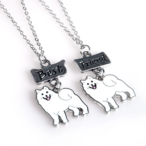 Détail du collier pour animaux Best Friend avec texte gravé et pendentif chien