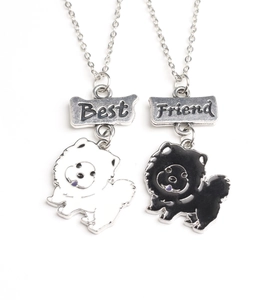 Détail des colliers Best Friend avec plaques en métal et pendentifs chien émaillés