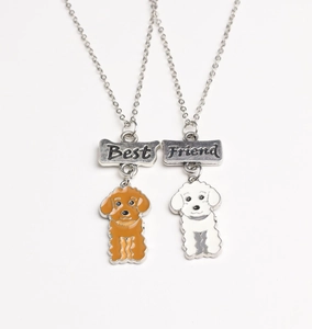 Détails des colliers Best Friend pour animaux avec pendentifs caniche marron et blanc