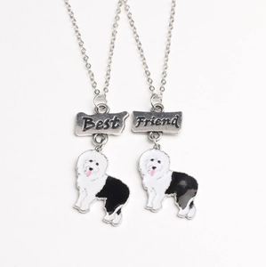 Détail de pendentifs pour chien Best Friend avec étiquettes métalliques gravées au laser