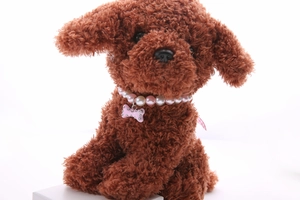 Detail of pink and white pearl pet necklace with a rhinestone bone pendant on a dog toy