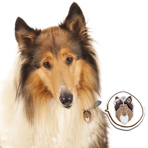 Detail showing cartoon Collie dog tag charm attached to a pet collar for identification