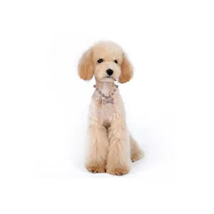 Sparkling pet rhinestone necklace with a pink bone pendant on a small beige dog