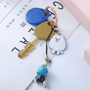 Gedetailleerde set gouden sleutelhanger met blauwe RFID-tag en schattige hondenhanger