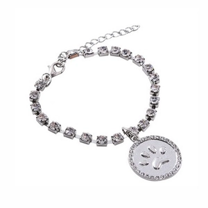Detail of silver pet crystal collar with rhinestone bone chain and paw print pendant