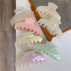 Elegant acetate shark hair clips in five pastel colors with gold lettering