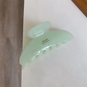 Détail de la pince à cheveux vert menthe avec inscription Barrette La France élégante