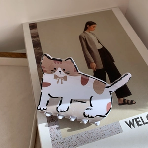 Vue détaillée de la pince à cheveux créative chat blanc et brun sur magazine