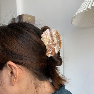 Nautilus shell acetate hair claw clip with gold accents shown in a side view on hair