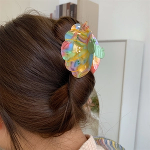 Rainbow gradient acetate butterfly hair claw clip for elegant half-up hairstyles