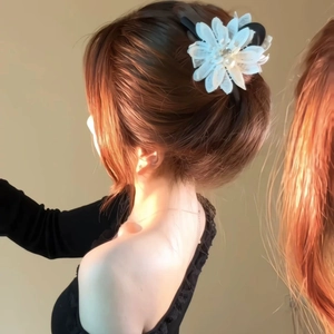 Grande Pince à Cheveux en Dentelle Fleurie Avec Fausse Künstliche Perle Strass Style Coréen Doux Pince Requin en Plastique Mat Femme