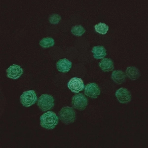 Accessoires de pinces à fleurs roses en résine lumineuse avec effet brillant vert