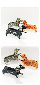 Λεπτομερής προβολή κλιπ μαλλιών dachshund σε μοτίβα ταρταρούγα και μάρμαρο