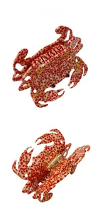 Detail showing acetate crab hair claw clip with red polka dots and gold spring mechanism