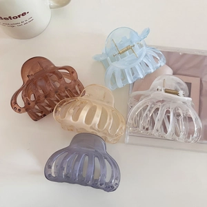 Five-piece set of elegant matte hair claws in brown, blue, beige, purple, and clear plastic