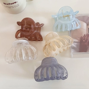 Detailed set of 5 large resin shark hair clips in various elegant translucent colors
