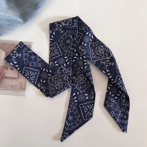 Sciarpa lunga in seta blu navy con motivo paisley e punte per capelli e collo