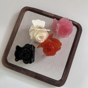Lot de pinces à cheveux rose 3D en acétate noir, crème, rose et orange style français