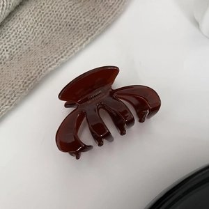Macro detail of dark brown translucent French hair claw with golden Barrette La France text