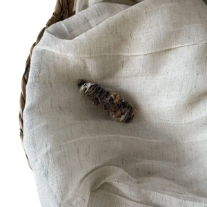 Plush leopard print wool felt BB hair clip on a natural white linen background for women