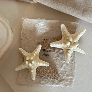 Set of two starfish hair clips with woven base for beach holiday seaside hair accessories