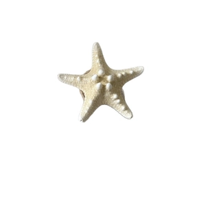 Starfish straw hair clip for island vacation, beach style side barrette accessory