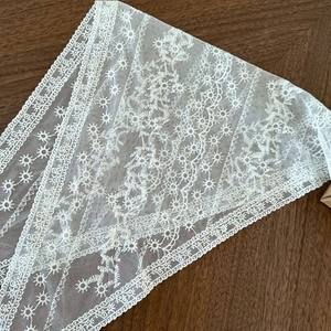 Gros plan de broderie de dentelle florale blanche sur tulle avec bords festonnés