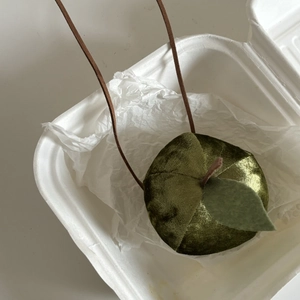 Detailed close-up of dark green velvet apple pendant with leaf texture in creative packaging