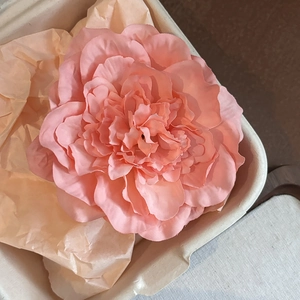 Close-up of soft peach peony hair clip with realistic fabric texture in gift box