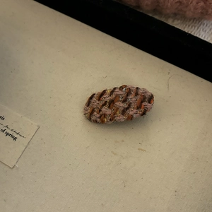 Detail of pink and brown tweed woven plaid hair clip on beige fabric background