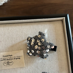 Barrette étoile scintillante avec paillettes sur tissu noir brillant en coffret