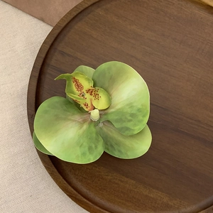 Detailed macro shot of green Phalaenopsis orchid hair clip on vintage wooden tray