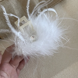 Pince à cheveux élégante en plumes d'autruche blanches avec strass central brillant