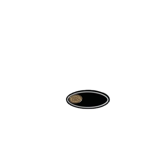Ovale schwarze Acetat-Haarklammer mit goldenem Logo-Detail auf weißem Hintergrund