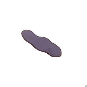 Purple wavy acetate hair clip with French lettering on a minimalist white background